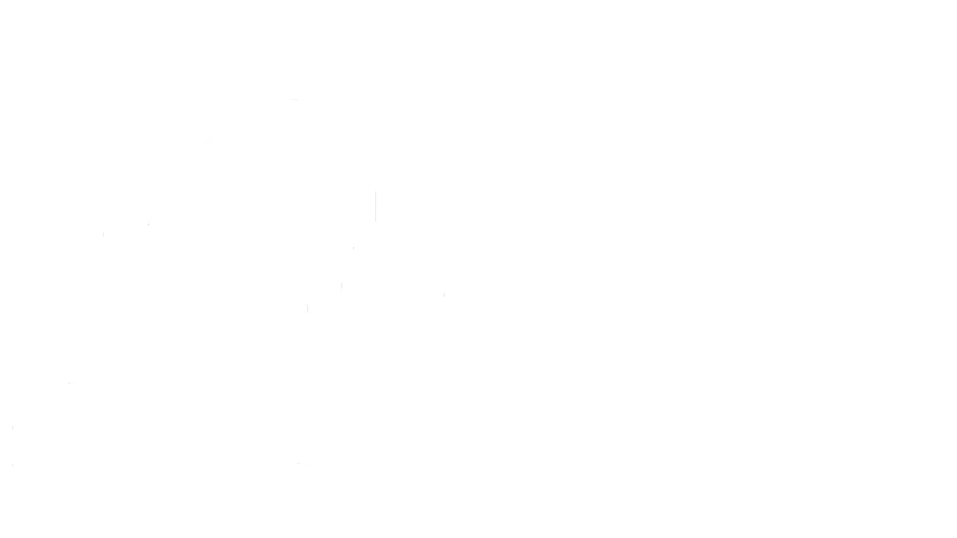 Lineacomputer partner Passepartout Bergamo per software ERP aziendali