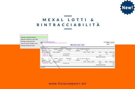 Pillole Gestionali - Lotti, Matricole e Rintracciabilità