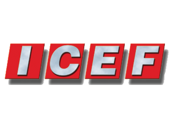 ICEF SRL | Beinasco (TO)