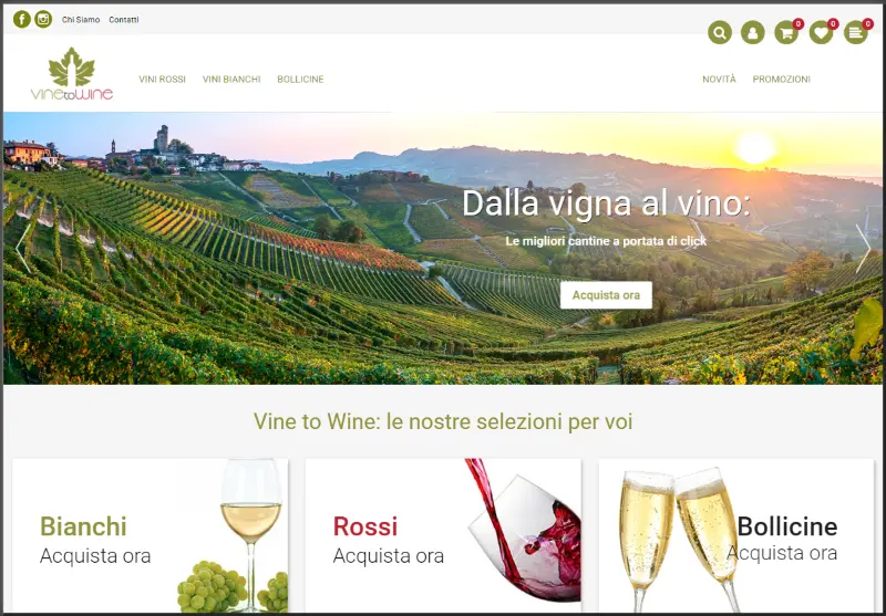 passepartout passweb, realizzazione sito vinetowine