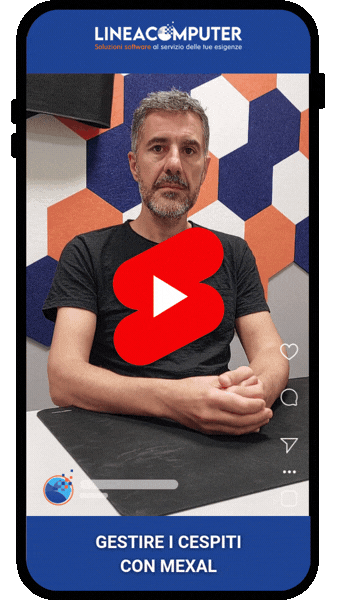 Webinar Cespiti